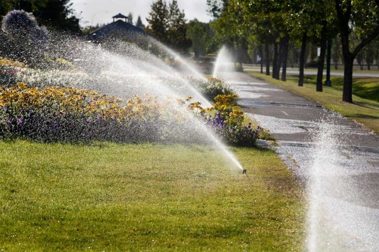 The Dos And Don’ts Of Sprinkler Repair And Maintenance In Indianapolis, IN The Dos And Don'ts Of Sprinkler Repair And Maintenance In Indianapolis, IN